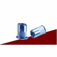 Insert Nut AVK Series