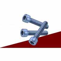 Stainless Socket Screw