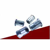 Insert Nut Stainless Steel Series